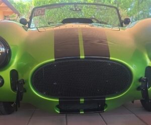 cobra grille rt4 customer photos (1)