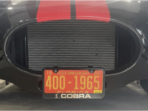license plate mounting clips