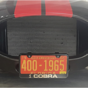 license plate mounting clips